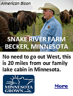 Snake River Farm covers 225 acres of native prairie near Becker, Minnesota. It is a living, breathing landscape that has been carefully preserved and worked for years. Native prairie land is different from regular farmland. It holds a mix of deep-rooted grasses, wildflowers, and natural soil that supports healthy animal grazing, and carries that raw Minnesota character. Animals raised on this kind of terrain tend to be healthier, they move freely, eat naturally, and live the way animals were meant to live.